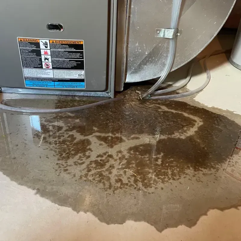 Appliance Leak Cleanup in Diablo, CA